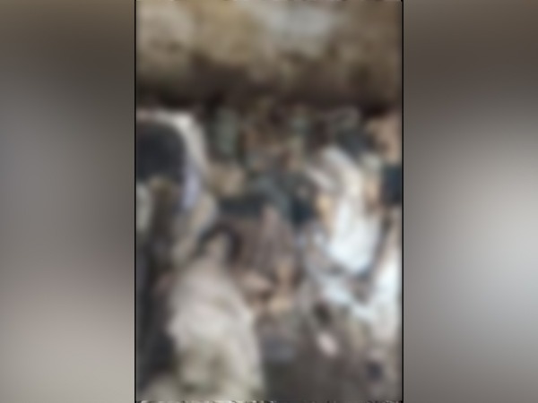 Rotting corpses found on the roof of a hospital in Pakistan's Multan city 