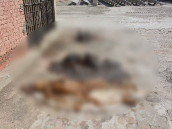 Scores of putrefied bodies found on the roof of the Nishtar Hospital 