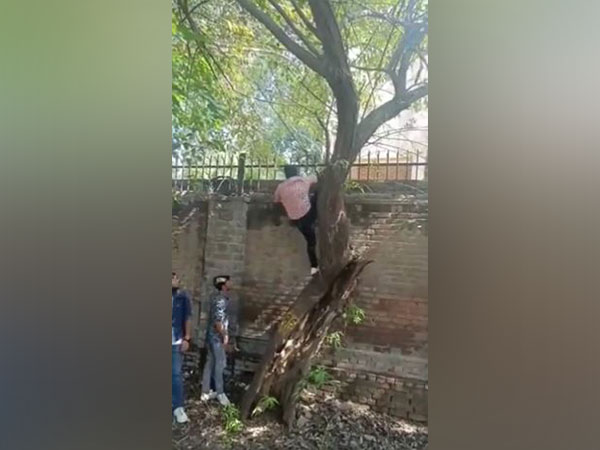 Visual from a viral video purportedly of men trying to scale the Miranda House College compound (Photo/ twitter)