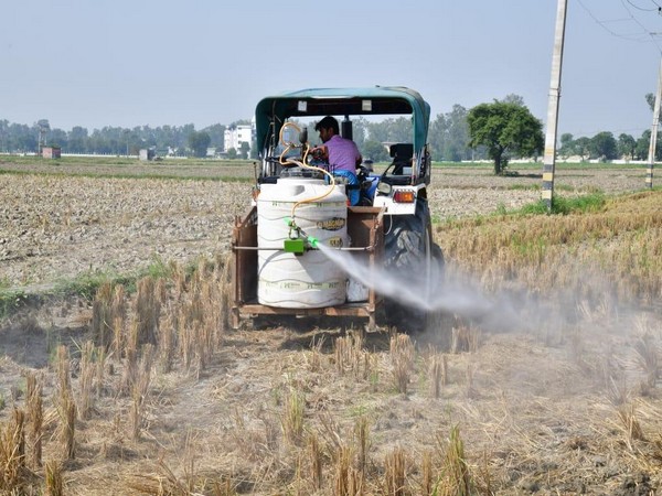 Source: Governmnet of Delhi 