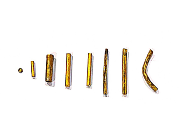 Seized eight gold pieces (ANI Photo)