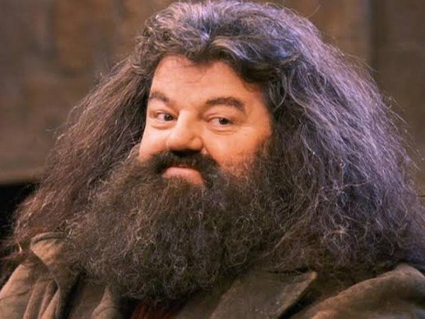 Late Robbie Coltrane (Image source: Instagram)