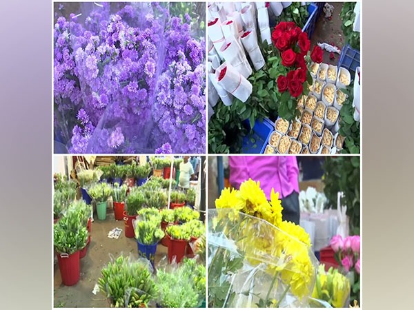 Some of the flowers in the Ghazipur flower mandi (Photo/ANI)