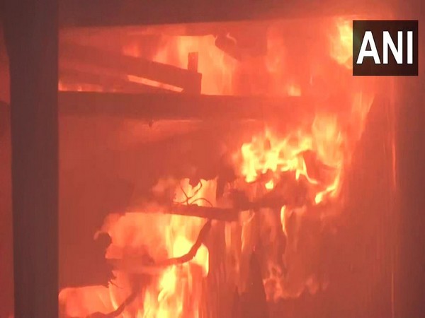 Visual of fire from Bantala Leather Complex area in Kolkata (Photo/ANI) 