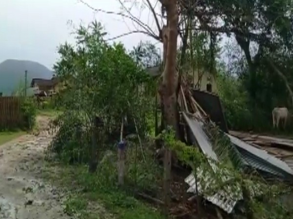Damage due to cyclonic storm in Assam (Photo/ANI)