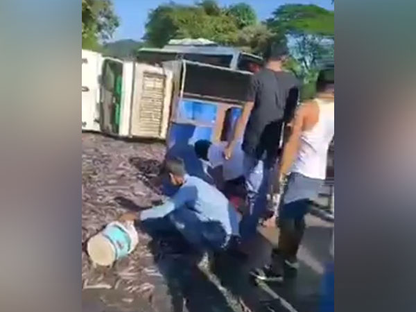 Visual of people looting fish after truck overturns in Assam's Bongaigaon district (File Photo/ANI)