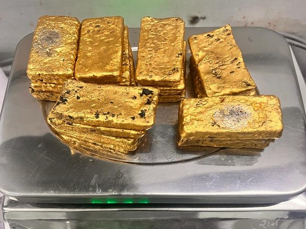 Gold Seized by Customs (IGI) (Photo/ANI)