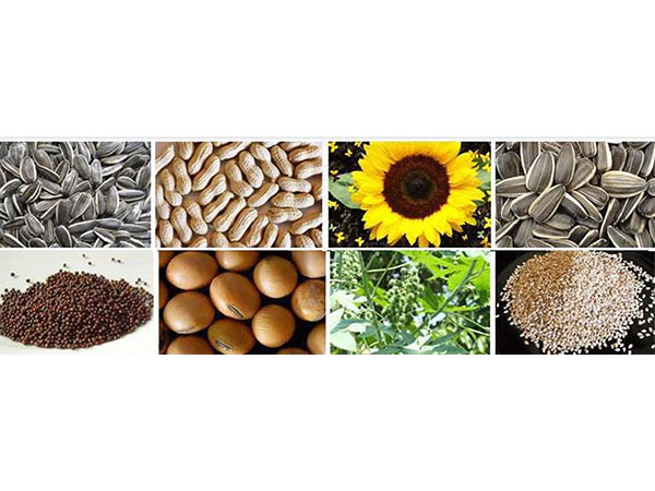 Photo Credit: Twitter @Seaof_india