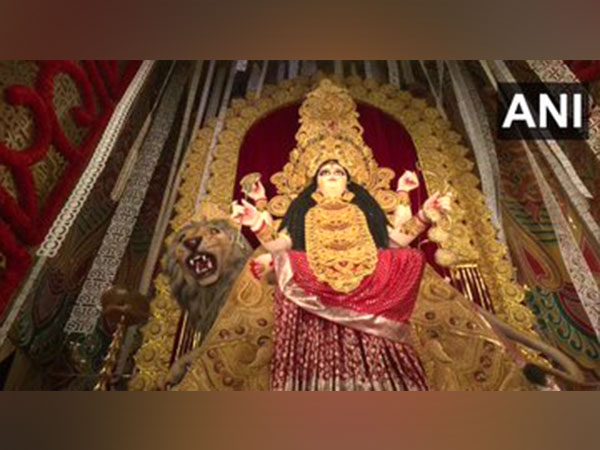 Puja pandals are decorated with lights (Photo/ANI)