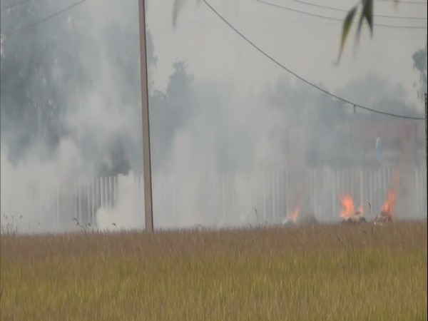 Stubble burning in Punjab's Ludhiana (Photo:ANI)