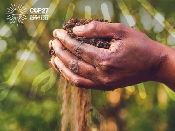 Image Courtesy: Twitter/@COP27P