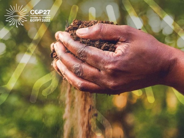 Image Courtesy: COP27