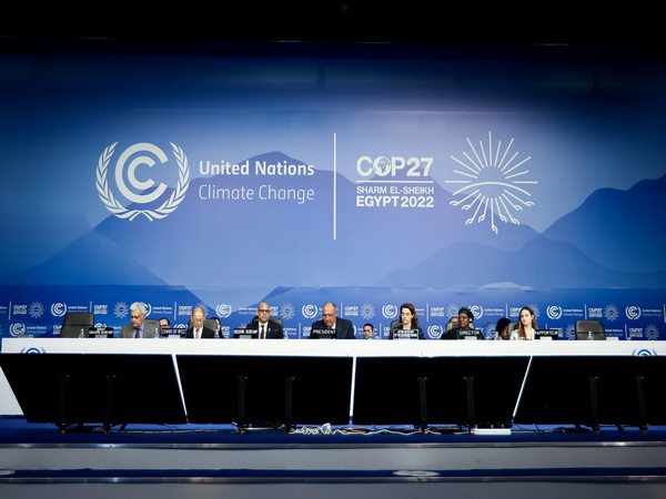 Climate envoys and delegates at the opening plenary of COP27 in Egypt