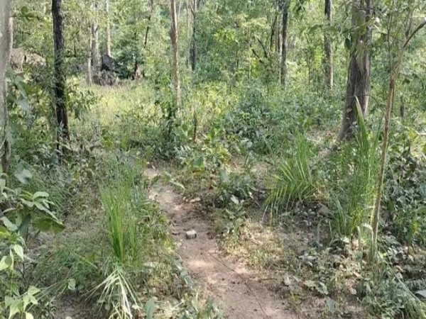 Visual from the spot (Photo/ANI)