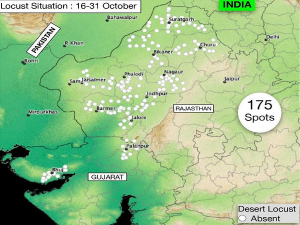 Image Courtesy: Locust Warning Organisation