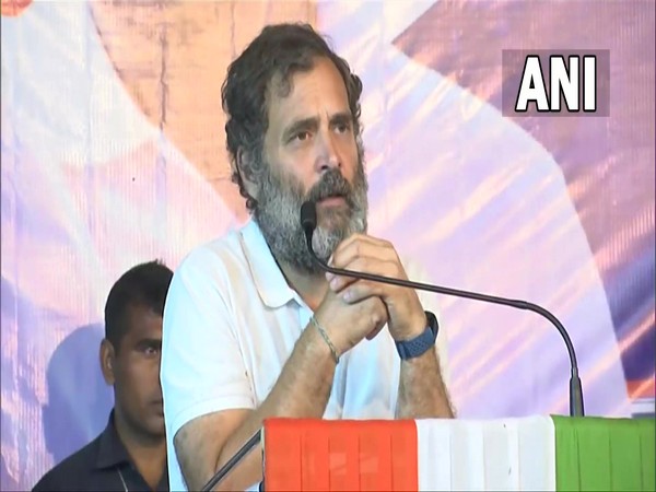 Congress leader Rahul Gandhi (Photo/ANI) 