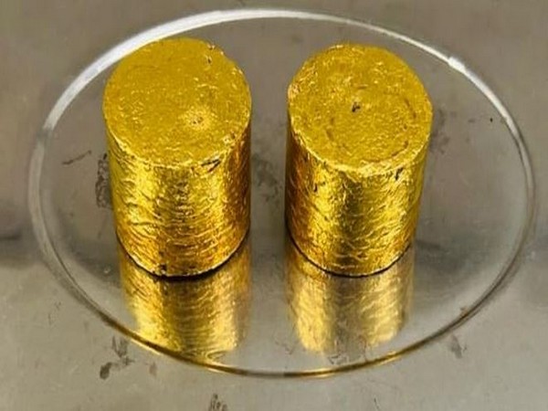 Visual of the cylindrical gold pieces seized at IGI airport (Photo/ANI) 