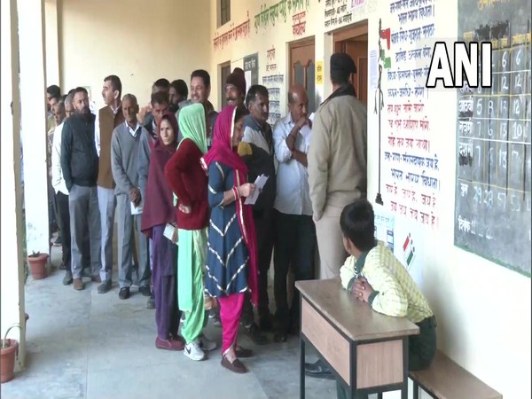 People cast their votes in Nadaun Assembly constituency (Photo/ANI)