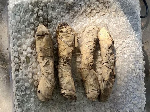 BSF seized 4 packets of heroin (Photo: BSF Punjab Frontier Twitter)