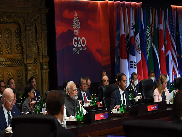 PM modi at G20 working session on Food and Energy Security (Image/ANI)