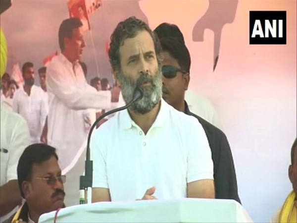 Congress leader Rahul Gandhi (Photo/ANI)