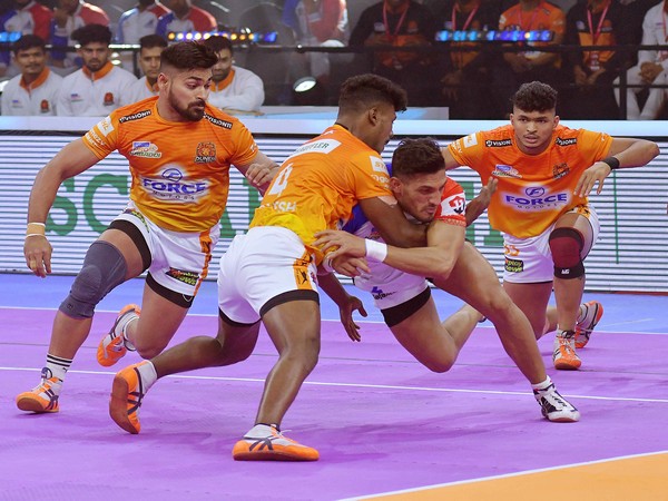 Puneri Paltan and Haryana Steelers in action during Pro Kabaddi League (Image: PKL)