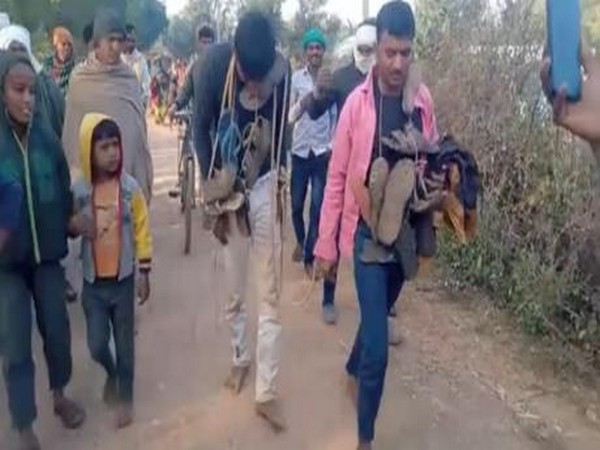 Youths spotted garlanded in the viral video.