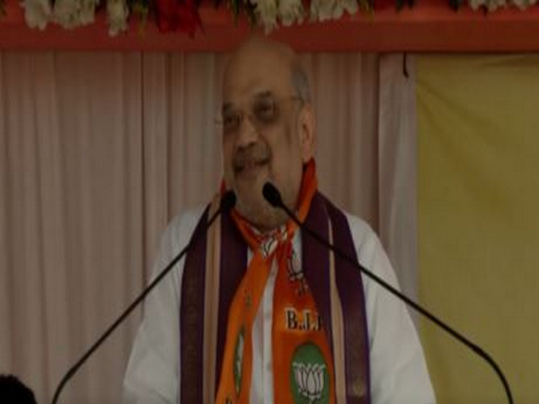 Union Home Minister Amit Shah (Photo/ANI)