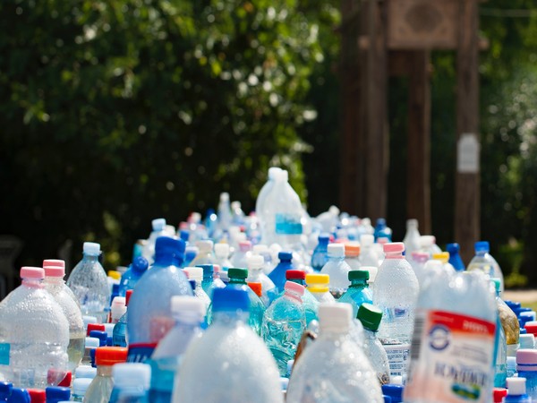 Bottles made out of plastic (Image Source: Pexels)