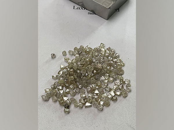 Diamonds at Laxmi Diamond factory (Photo/ANI)