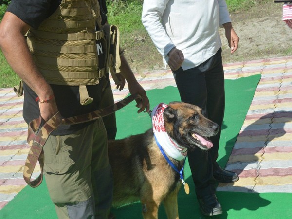 K9 hero 'Zorba' (Photo:ANI)