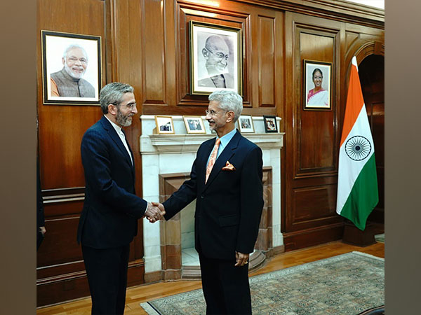 External Affairs Minister S Jaishankar with Iranian Deputy Foreign minister Ali Bagheri