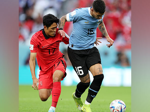 South Korea and Uruguay in action during Group H match (Image: FIFA World Cup Twitter)