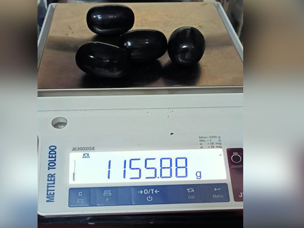 visual of the capsules (Photo/ANI)