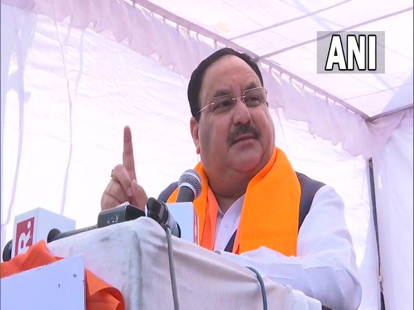 BJP National President JP Nadda (Photo/ANI) 