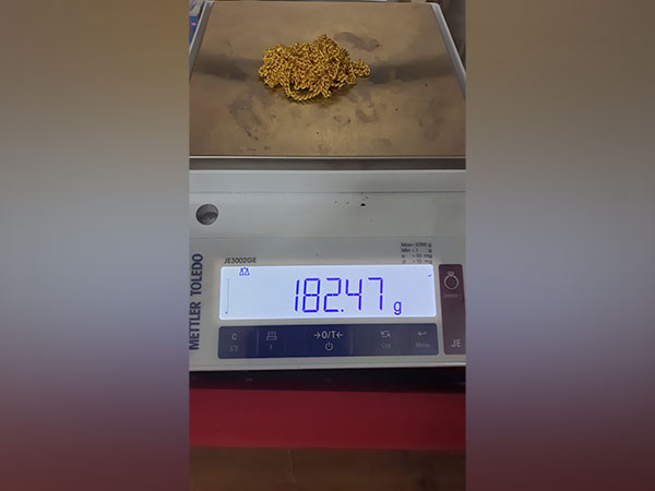 Gold seized by the Customs department. (Image/ANI)