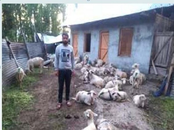 Hussain, a shepherd from Bandipora
