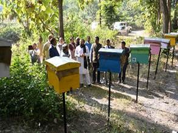 KVIC distributes over 330 'bee-boxes' in Uttarakhand's Chausla village (Photo/ANI)