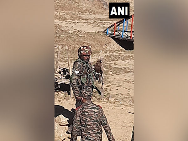 Indian Army troops using trained Kites to prey on enemy drones (Photo/ANI)