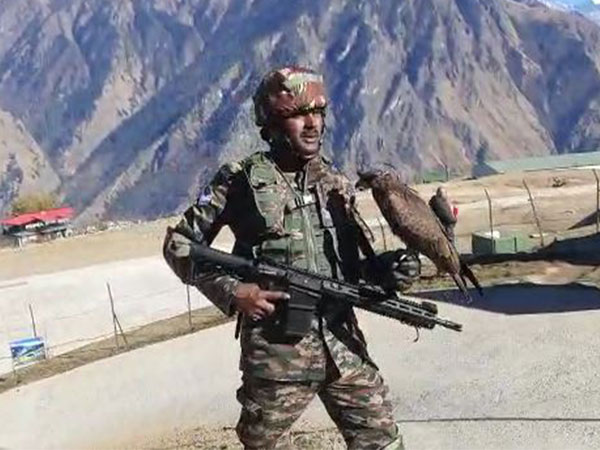 Indian Army troops using trained Kite to prey on enemy drones (Photo/ANI)