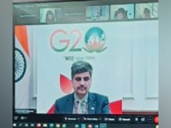 G20 finance track during a discussion on Thursday. (Photo: Twitter//@FinMinIndia)