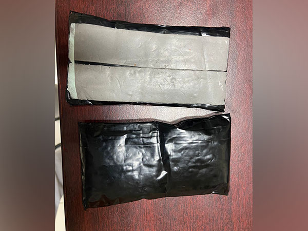 Gold seized by Customs department (Image/ANI)