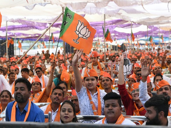 Representative Image (ANI)