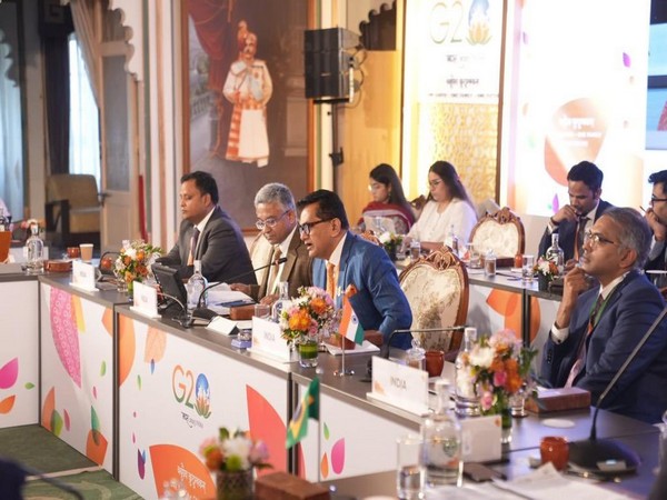 G20 Sherpa Amitabh Kant in Udaipur, Rajasthan.