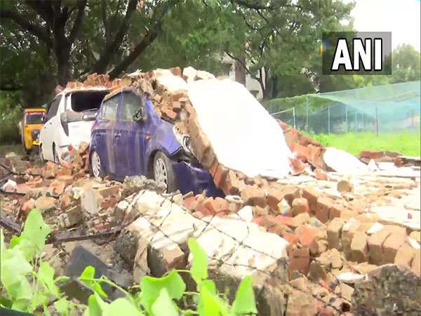 3 cars damaged in the aftermath of Cyclone Mandous in Chennai