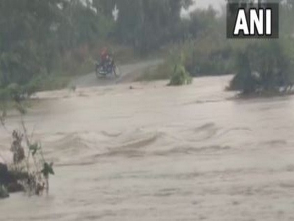 Visual of water logging in Andhra Pradesh (Photo/ANI)