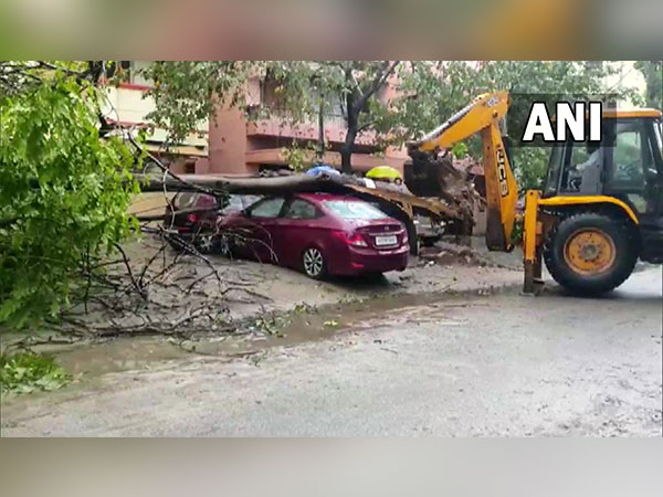 A glimpse of a tree that fell over a car in Andhra Pradesh's Tirupati (Photo/ANI)