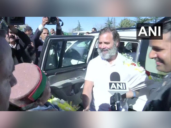 Congress MP Rahul Gandhi with party's Himchal Pradesh chief Pratibha Singh (Photo/ANI)