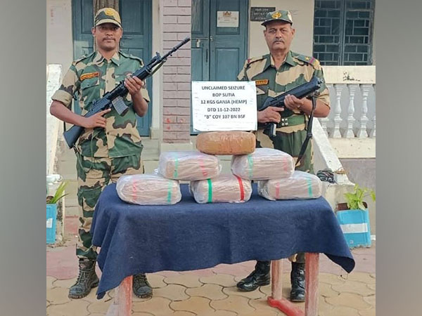 Ganja seized by BSF. (Photo/ANI)