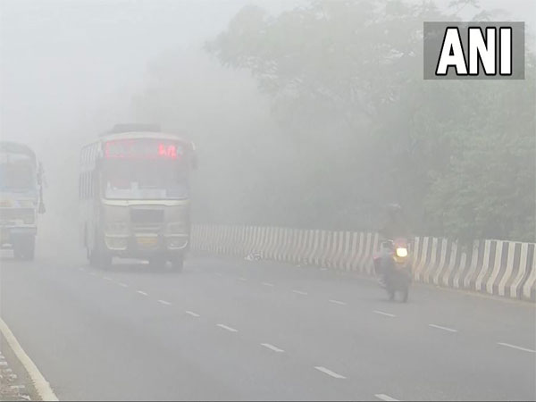 A visual of fog engulfed roads in Bhubaneswar (Photo/ANI)